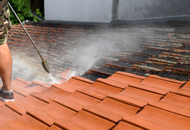 Best Best Pressure Washing Companies  in Dove Valley, CO