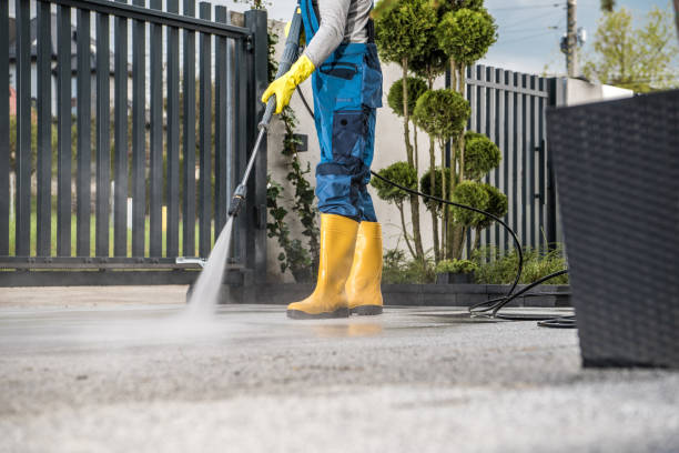 Local Pressure Washing Services in Dove Valley, CO