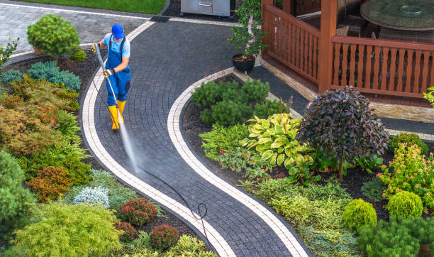 Best Roof Pressure Washing  in Dove Valley, CO